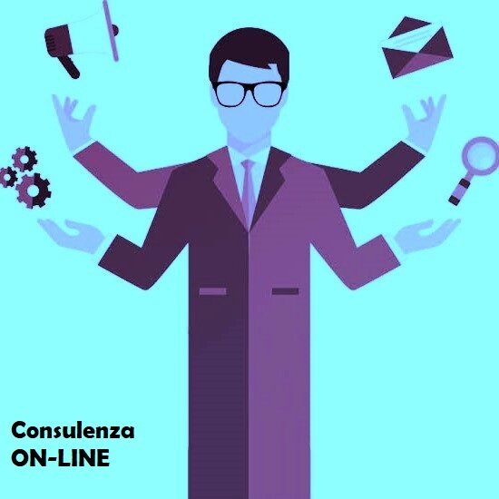CONSULENZA MARKETING AZIENDALE - ON LINE (Lorenzo)