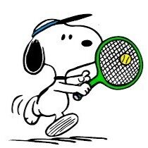 ISTRUTTORE DI TENNIS PTR (Alberto)